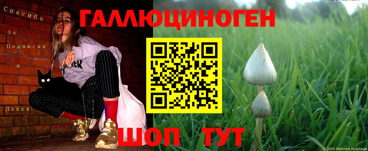 Новошахтинск  Галлюциногенные грибы Magic Shrooms  Галлюциногенные грибы Psilocybine cubensis  Вход с VPN 